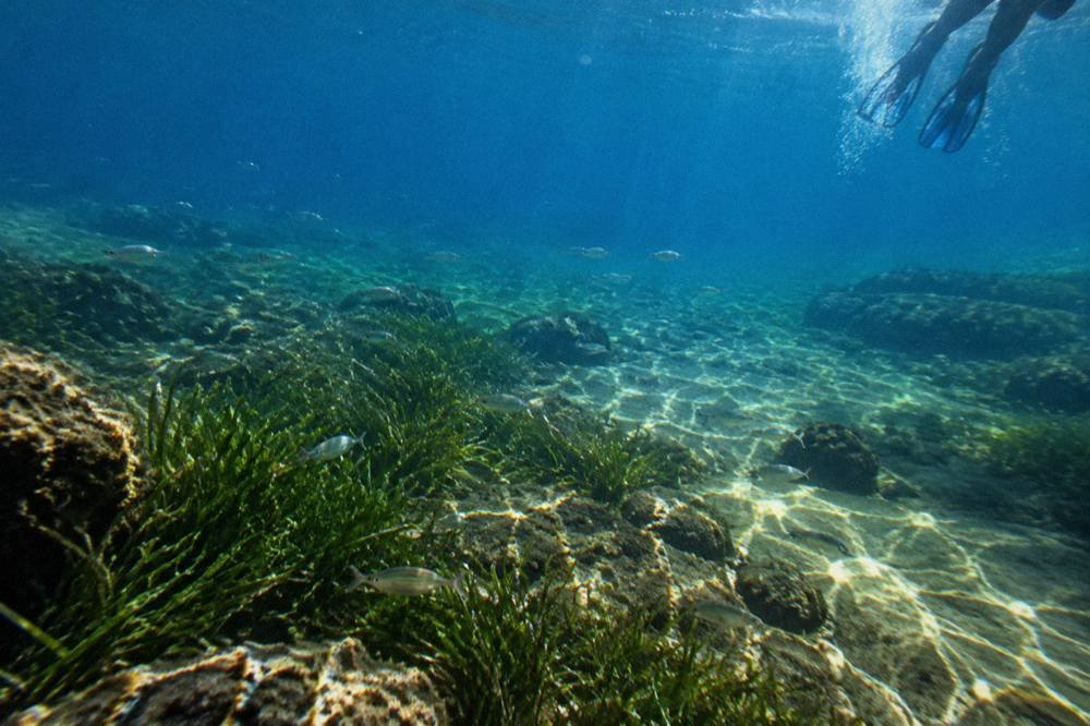Beginner Scuba With PADI Pro, Chania