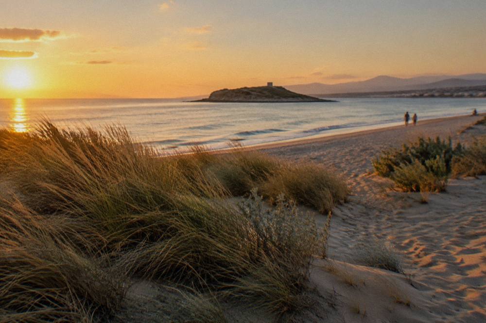Low dunes with marram grass beside a calm sandy beach, a small islet across shallow water