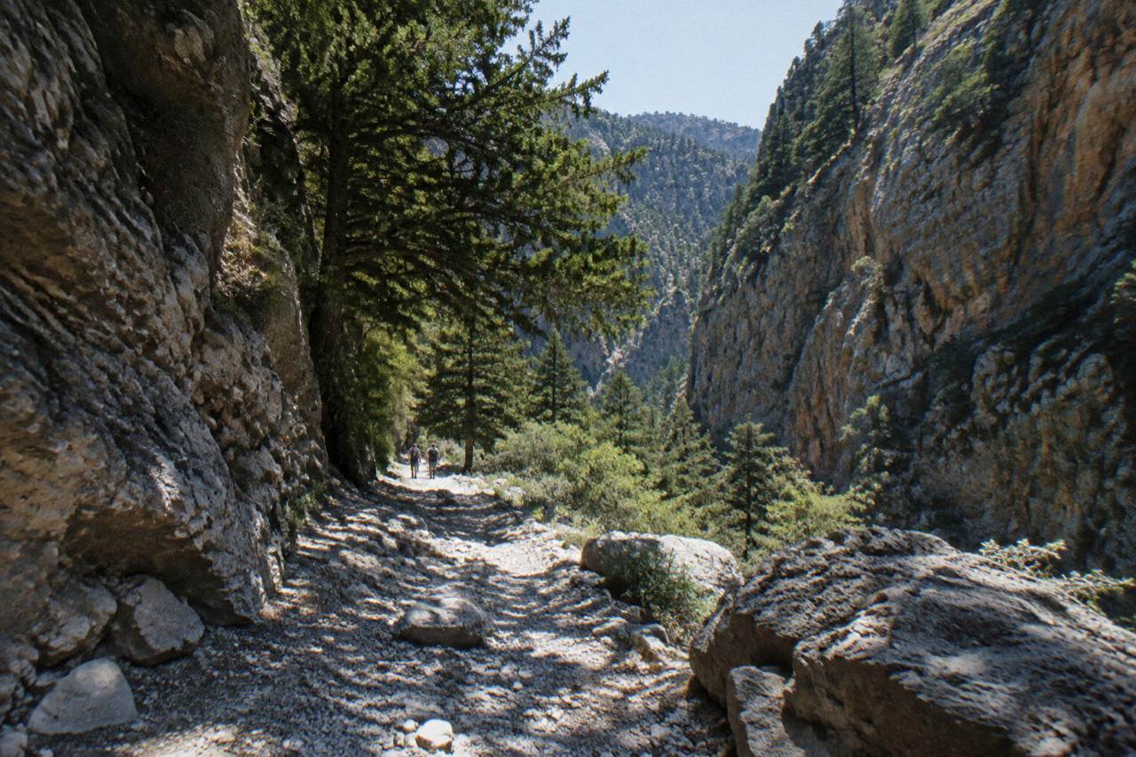 A steep rocky gorge path winding between high stone walls under a clear sky