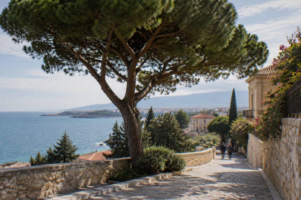 An umbrella pine shading a stone path in Halepa on a bright day