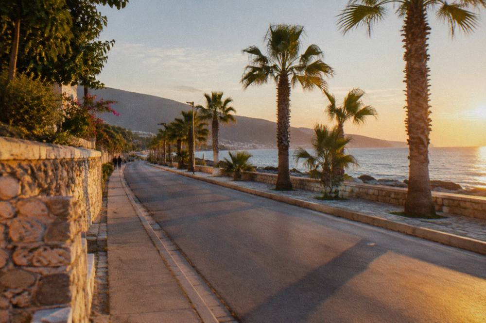 A quiet coastal road with palm trees and sea views in late afternoon light