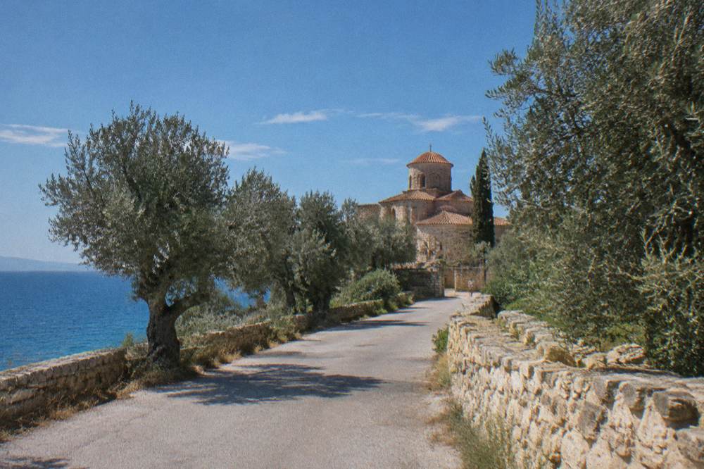 Olive trees and low stone walls along a quiet peninsula road