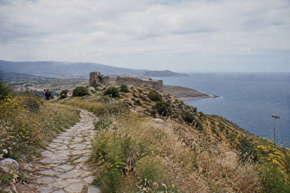 Wildflowers and dry grass along a stone path on a hillside above the sea