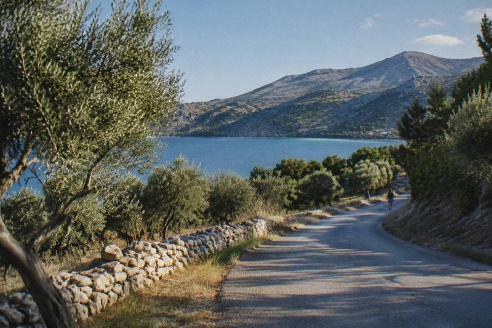 A quiet country road winding between olive groves and low green hills on a bright day