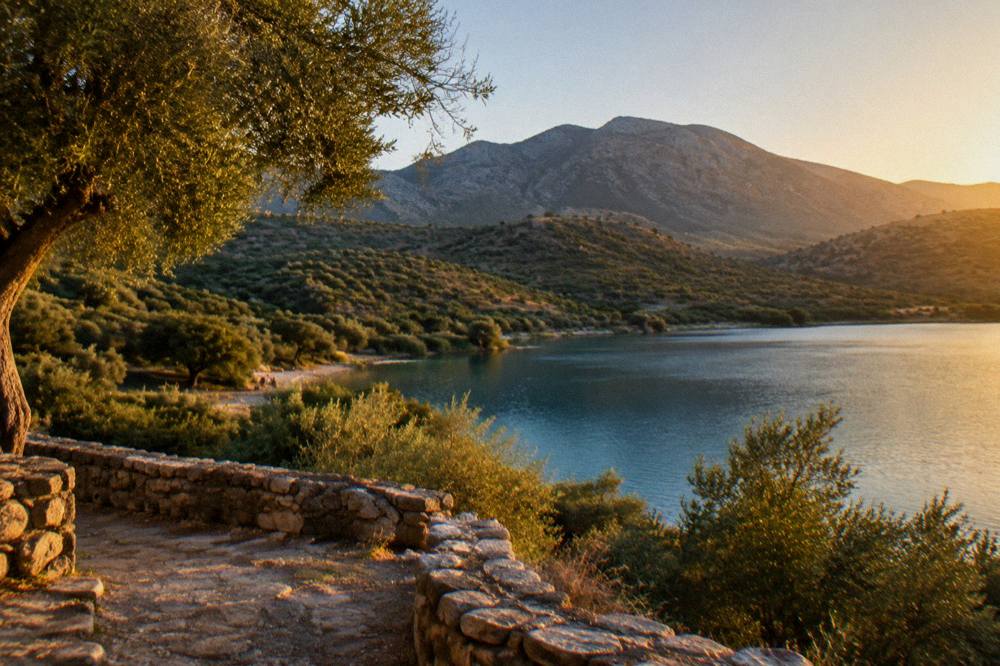 Olive groves and wooded hills rolling toward distant mountains under a clear sky