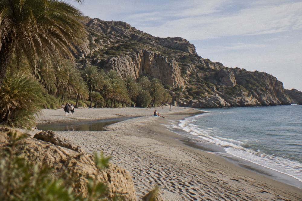 People on a sandy beach beside a palm grove with rocky headlands behind