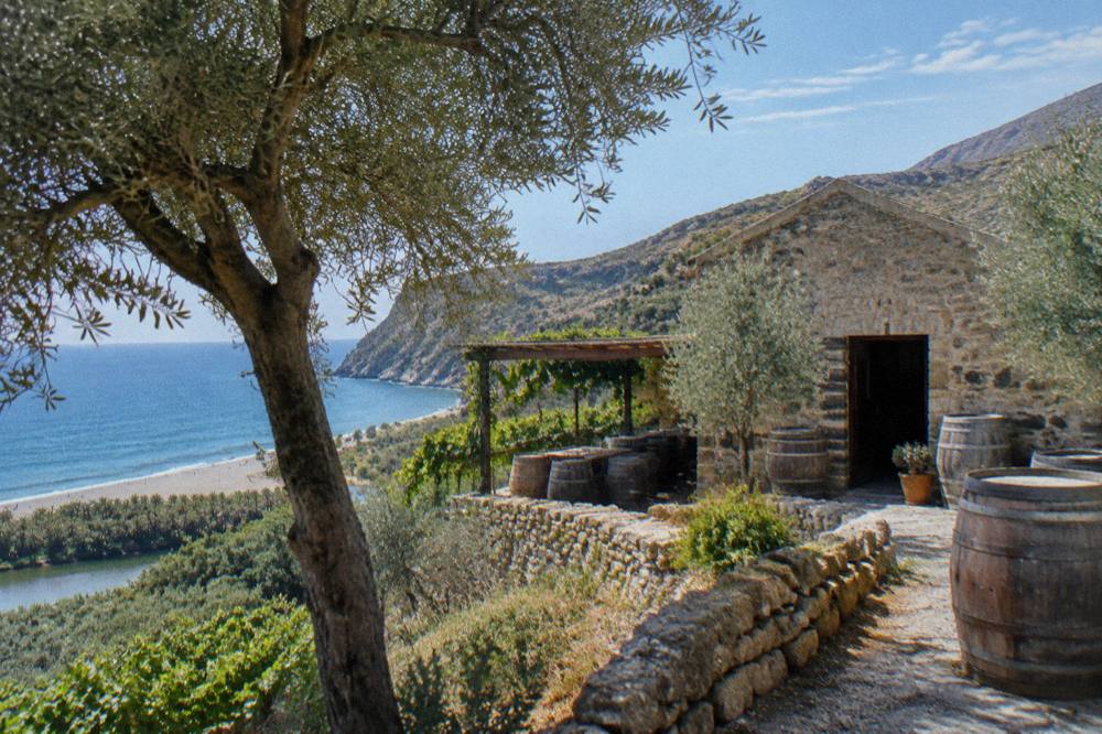 A stone winery building among olive trees on a Cretan hillside