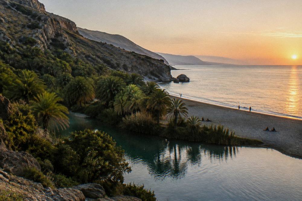 A wide view of a palm-lined river mouth beach at golden hour with calm sea