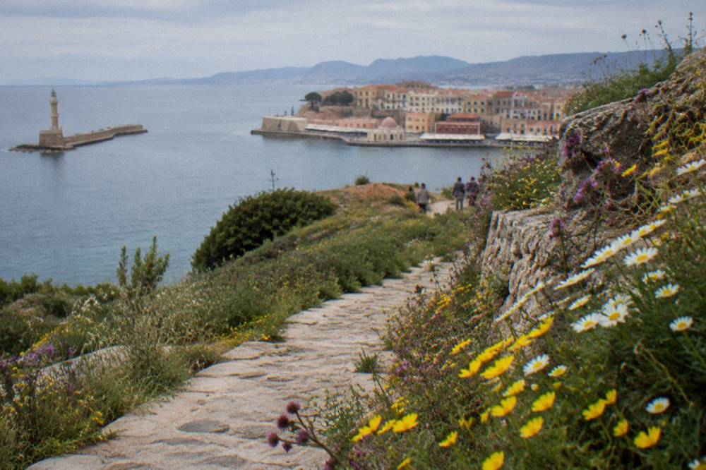 Wildflowers along a stone path on a Cretan hillside in spring