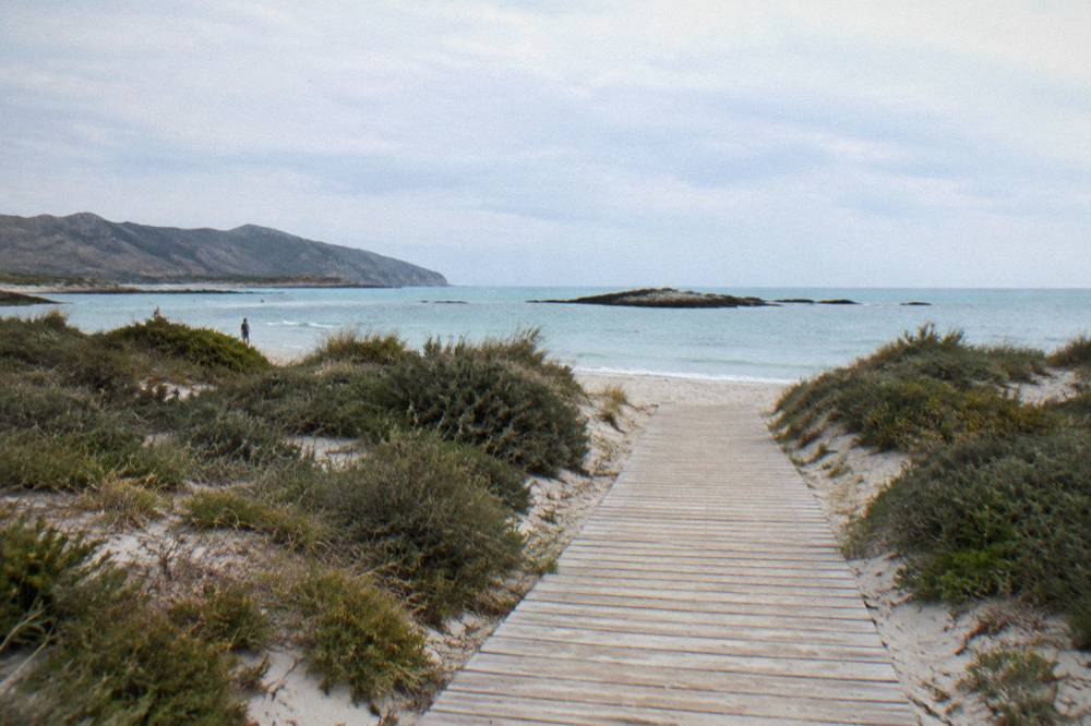 A wooden path crossing low dunes toward a calm beach
