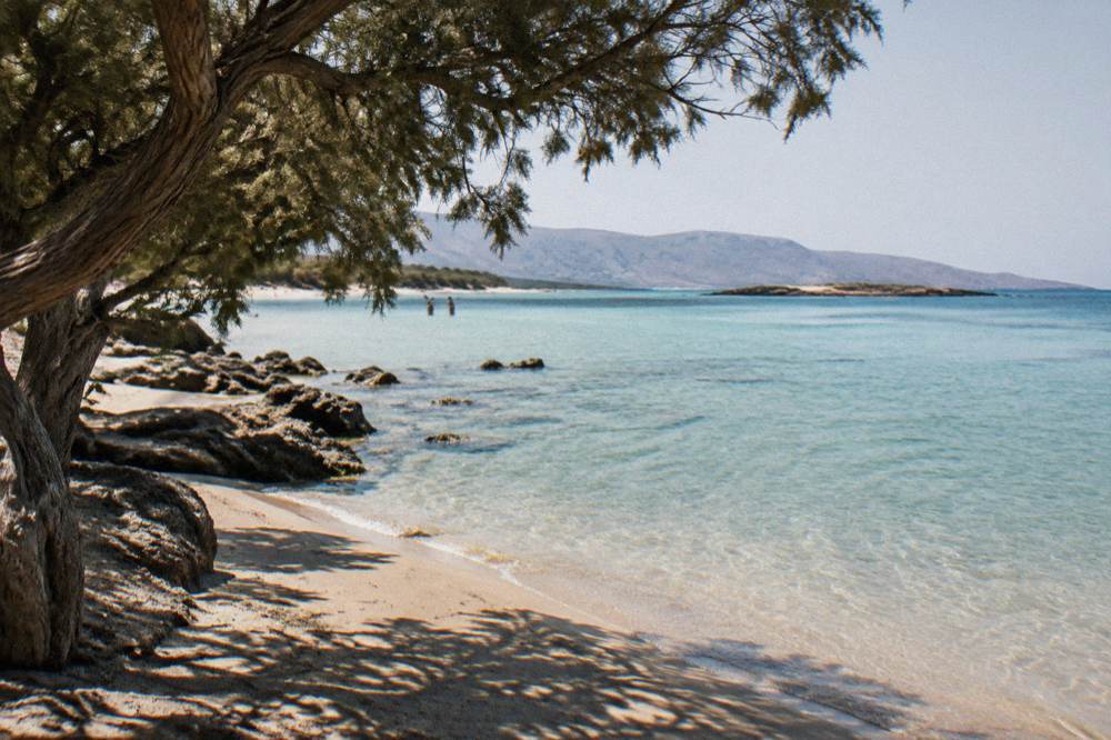 A quiet sandy shoreline in warm late-afternoon light with calm water