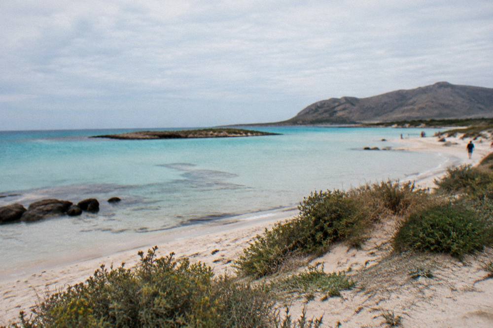 Low dunes with sparse vegetation beside a shallow lagoon