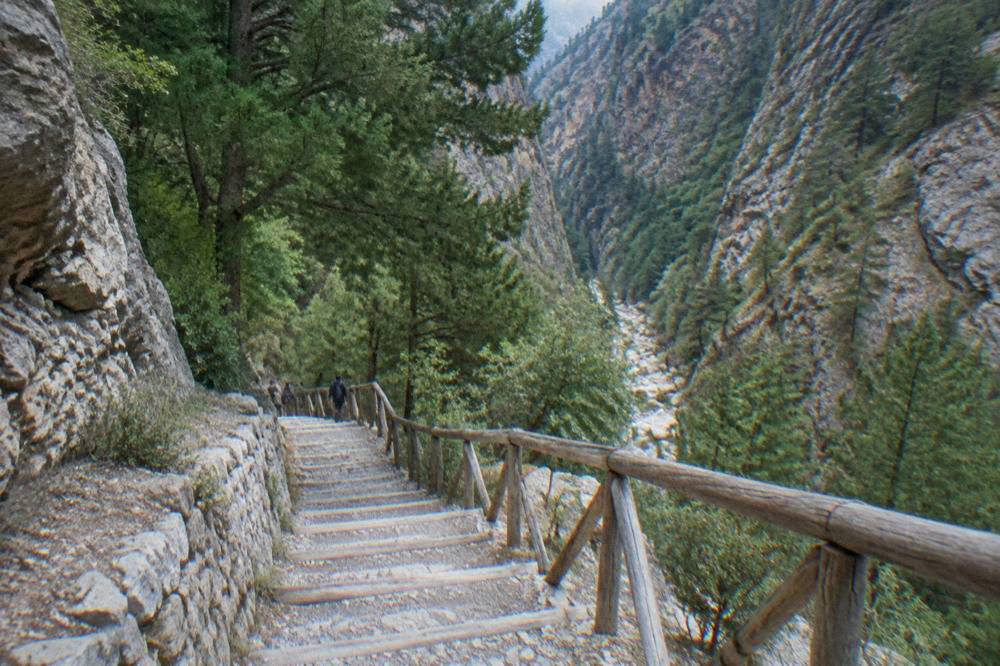 Wooden steps and a stone path descending into a green gorge in Crete